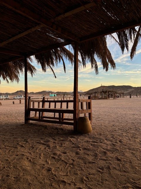 Hurghada: Desert Safari with Quad Bike, Dune Buggy, Camel Ride & Bedouin Village Experience