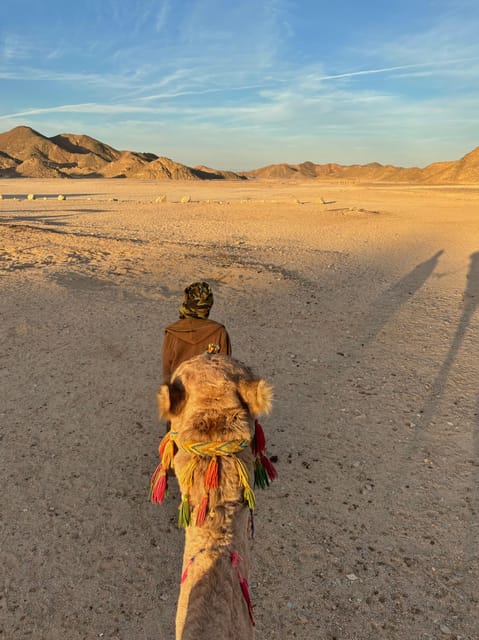Hurghada: Desert Safari with Quad Bike, Dune Buggy, Camel Ride & Bedouin Village Experience