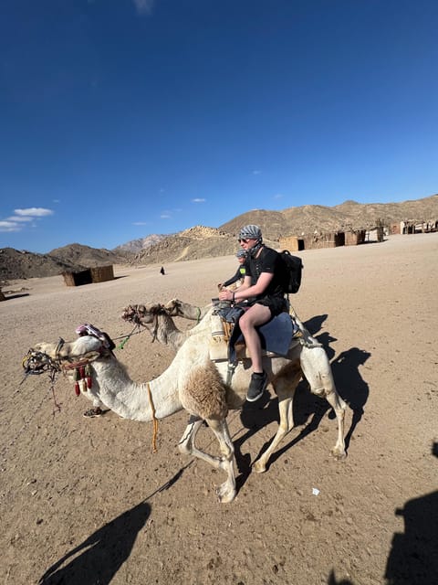 Hurghada: Desert Safari with Quad Bike, Dune Buggy, Camel Ride & Bedouin Village Experience