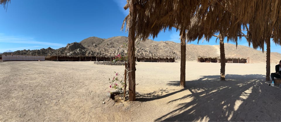 Hurghada: Desert Safari with Quad Bike, Dune Buggy, Camel Ride & Bedouin Village Experience