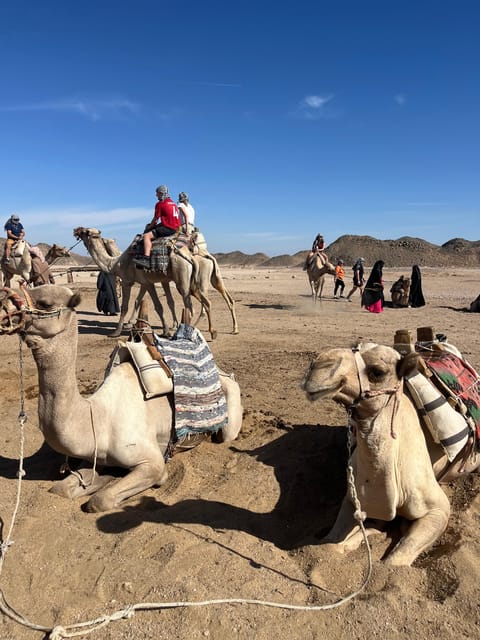 Hurghada: Desert Safari with Quad Bike, Dune Buggy, Camel Ride & Bedouin Village Experience
