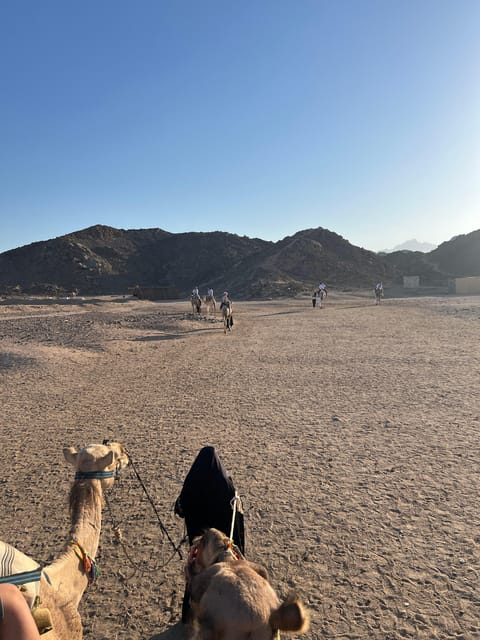 Hurghada: Desert Safari with Quad Bike, Dune Buggy, Camel Ride & Bedouin Village Experience