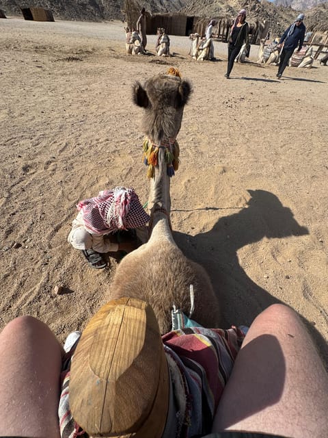 Hurghada: Desert Safari with Quad Bike, Dune Buggy, Camel Ride & Bedouin Village Experience