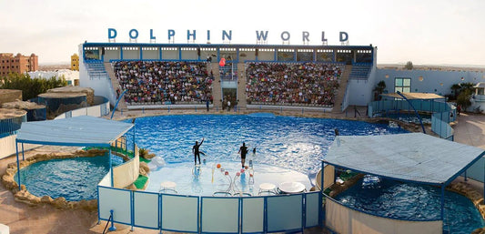 Hurghada: Dolphin World Show Entry Tickets with Hotel Pickup