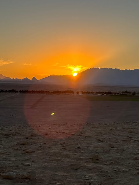 Hurghada: Stargazing and Bedouin Farm Desert Safari with Dinner