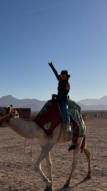 Hurghada: Stargazing and Bedouin Farm Desert Safari with Dinner