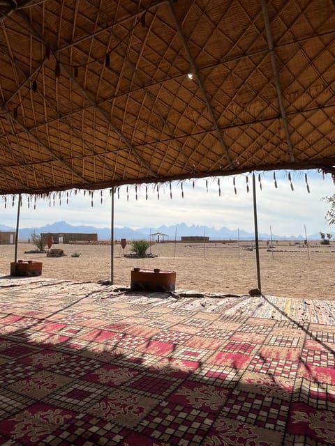 Hurghada: Stargazing and Bedouin Farm Desert Safari with Dinner
