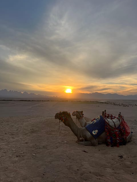 Hurghada: Stargazing and Bedouin Farm Desert Safari with Dinner