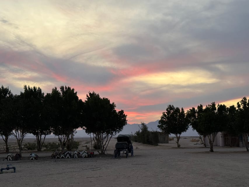 Hurghada: Stargazing and Bedouin Farm Desert Safari with Dinner