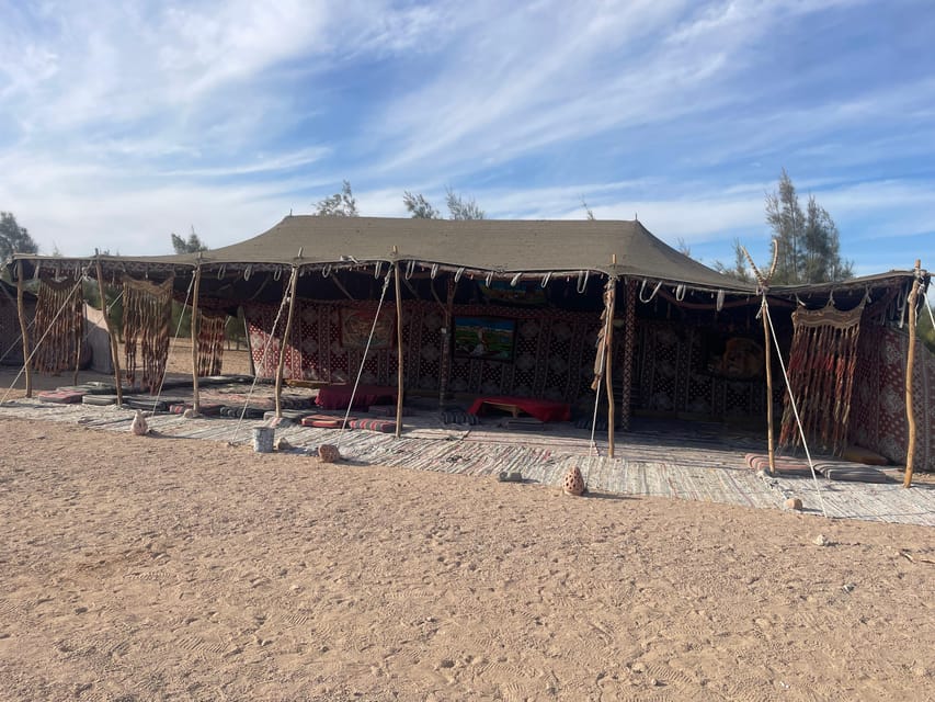 Hurghada: Stargazing and Bedouin Farm Desert Safari with Dinner
