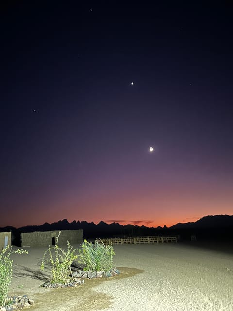 Hurghada: Stargazing and Bedouin Farm Desert Safari with Dinner