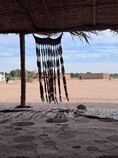 Hurghada: Stargazing and Bedouin Farm Desert Safari with Dinner