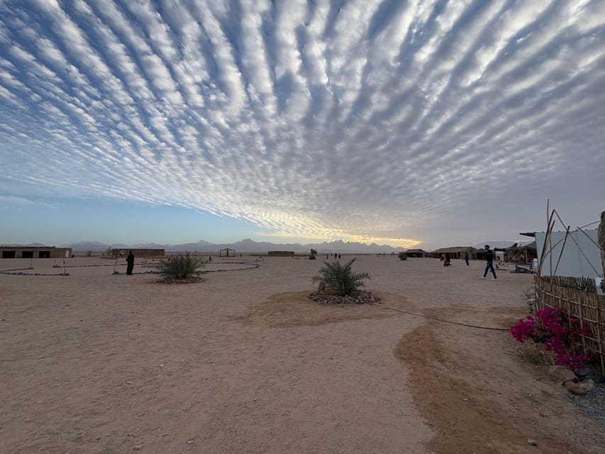 Hurghada: Stargazing and Bedouin Farm Desert Safari with Dinner