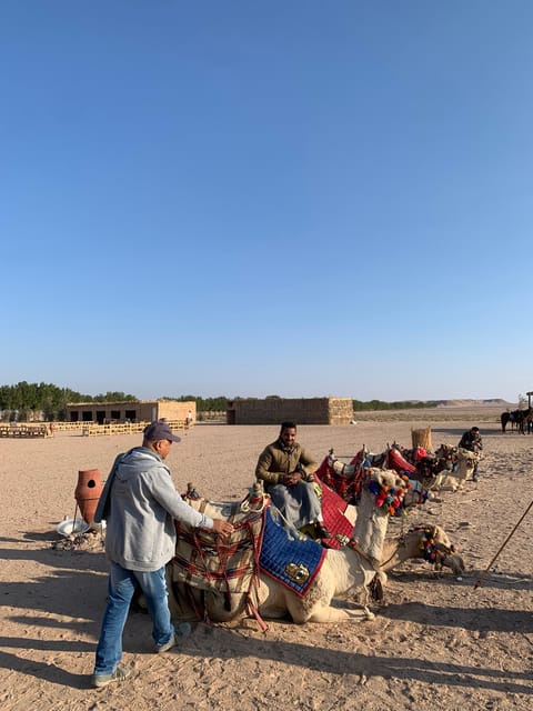 Hurghada: Stargazing and Bedouin Farm Desert Safari with Dinner
