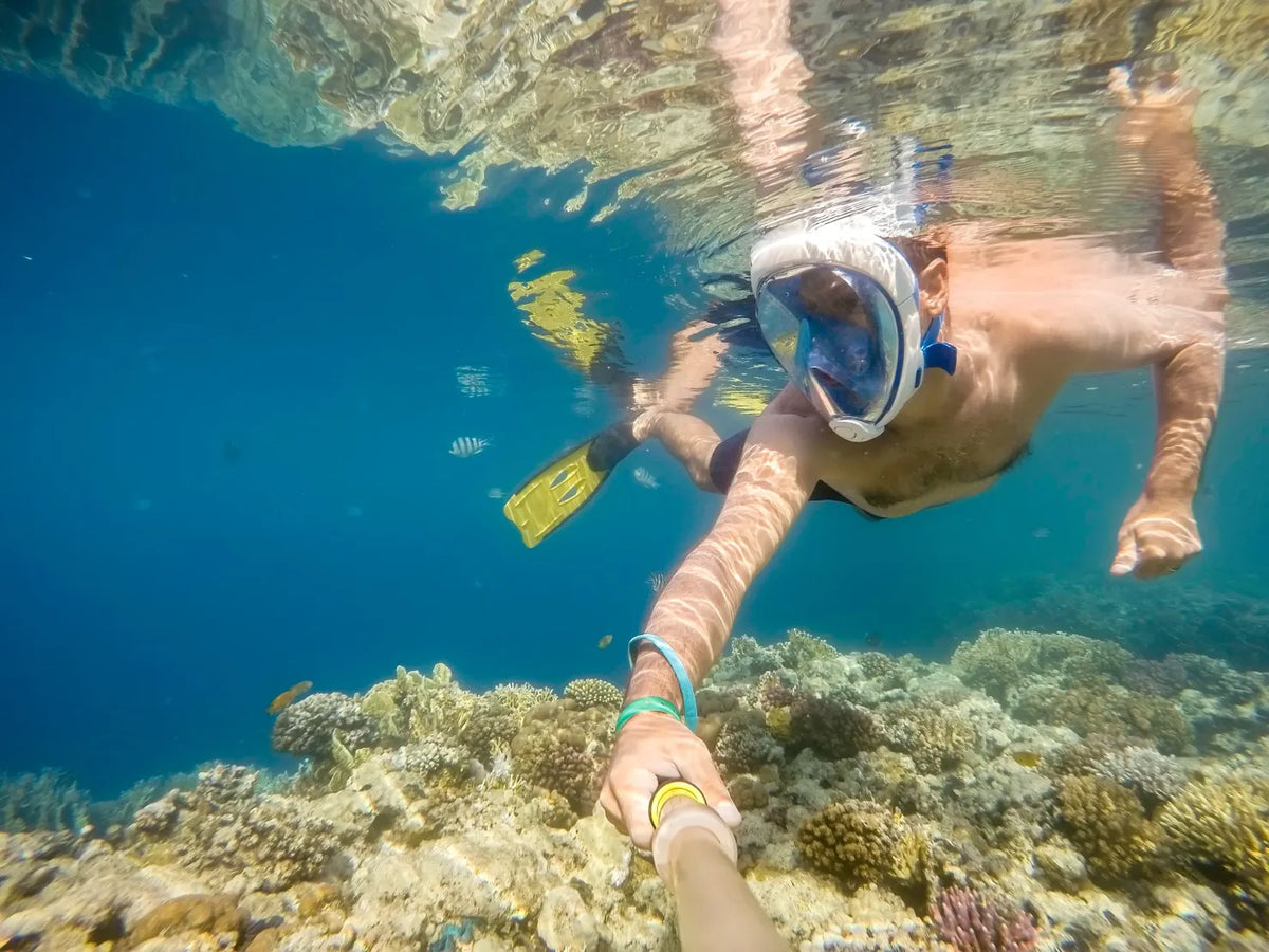 El Gouna: viaje privado en lancha rápida a la bahía (Sea Ray 210 Lara)
