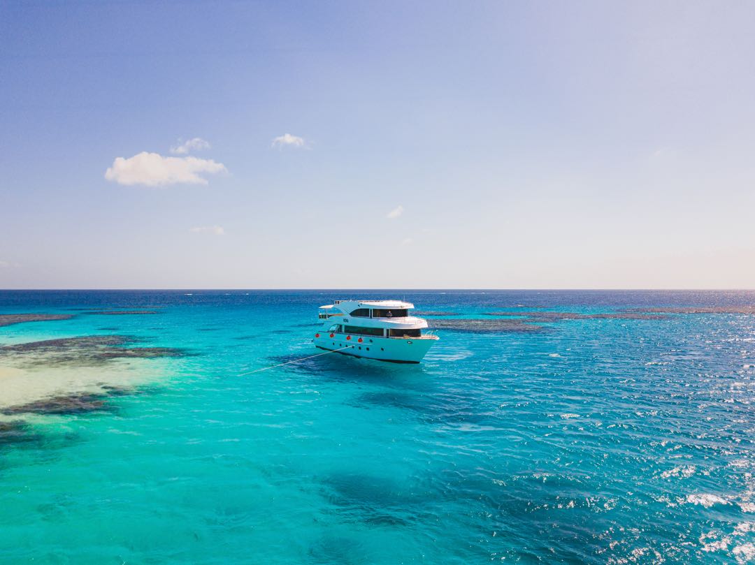 Marsa Alam: Öğle Yemeği ile Marsa Mübarek Şnorkelli Dalış Tekne Turu