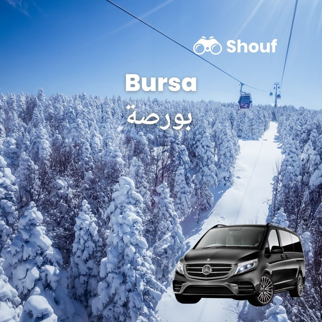 Istanbul: Full Day Private Car or Van Rental with Driver