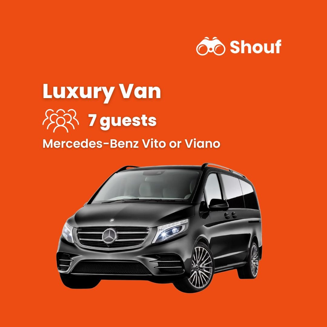 Istanbul: Full Day Private Car or Van Rental with Driver