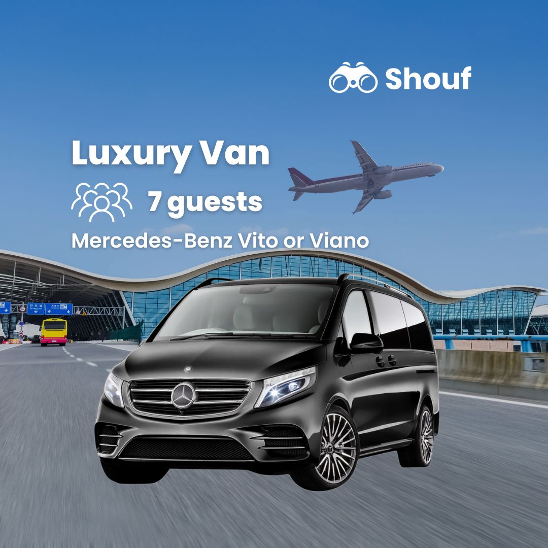 Istanbul: Full Day Private Car or Van Rental with Driver