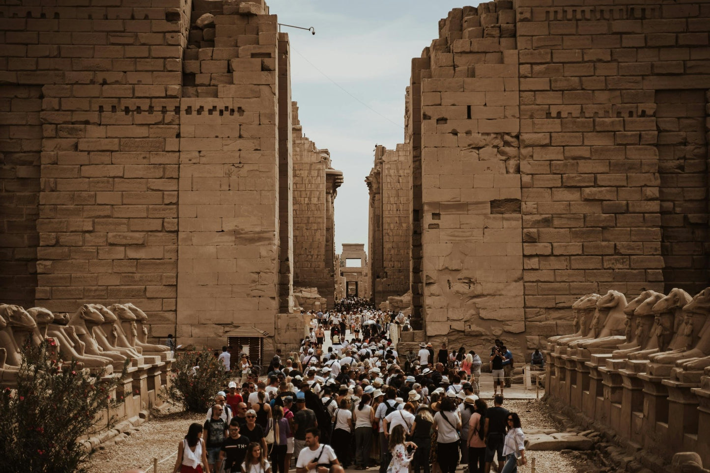 Luxor: Full - Day Hot Air Balloon Ride, West & East Banks, Temples, and Valley of the Kings