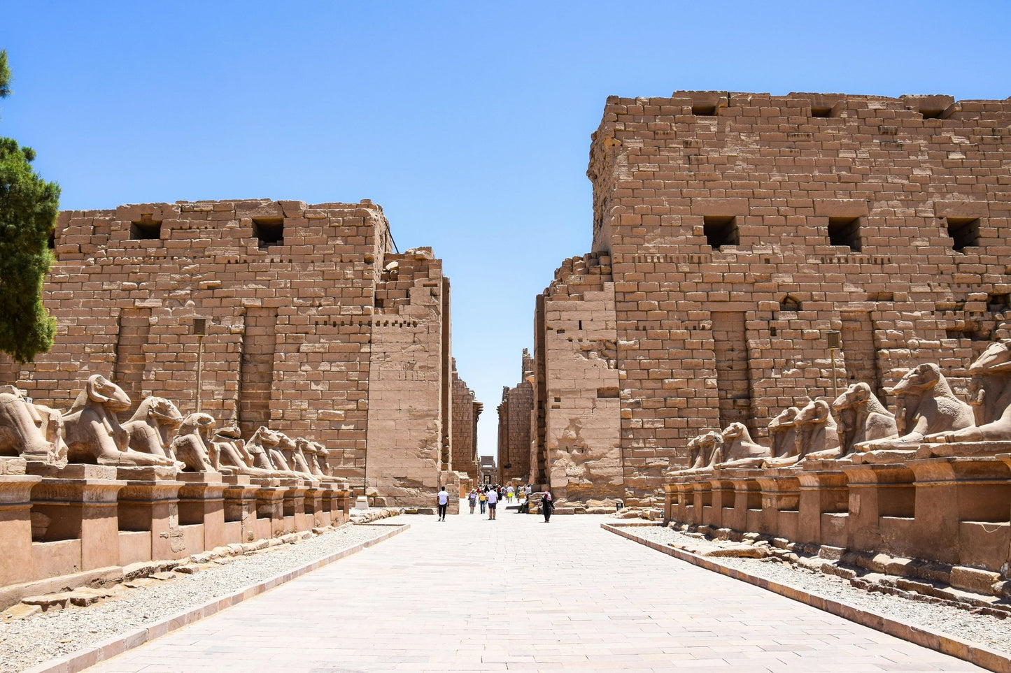 Luxor: Full - Day Hot Air Balloon Ride, West & East Banks, Temples, and Valley of the Kings