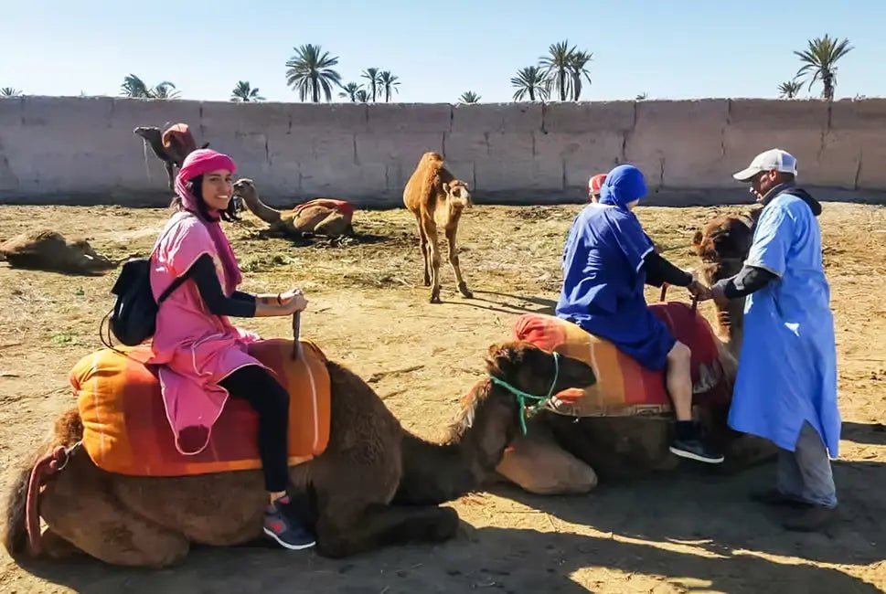 Marrakech: Camel Ride in the Oasis Palmeraie with Hotel Pickup