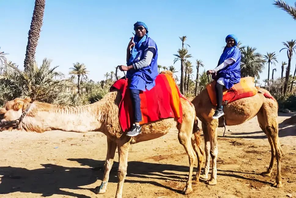 Marrakech: Camel Ride in the Oasis Palmeraie with Hotel Pickup