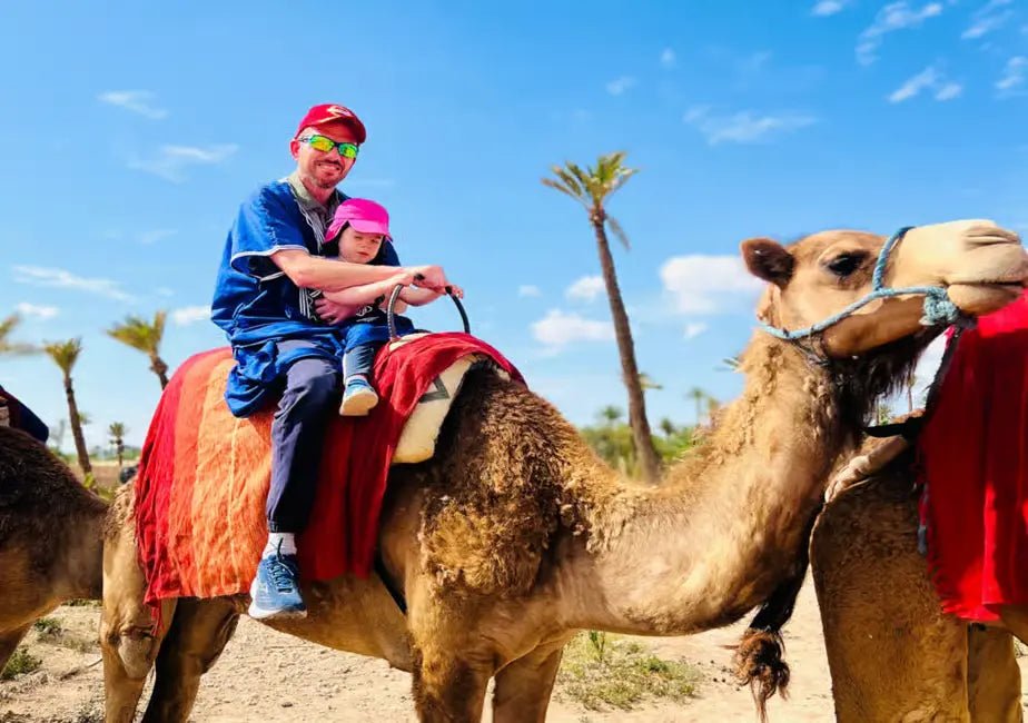 Marrakech: Camel Ride in the Oasis Palmeraie with Hotel Pickup
