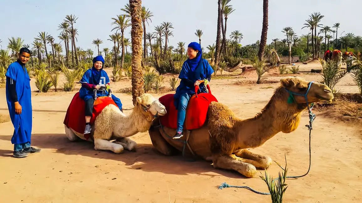 Marrakech: Camel Ride in the Oasis Palmeraie with Hotel Pickup