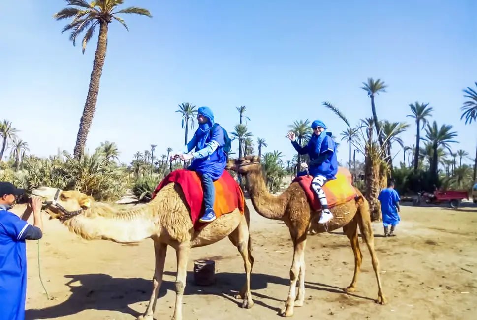 Marrakech: Camel Ride in the Oasis Palmeraie with Hotel Pickup
