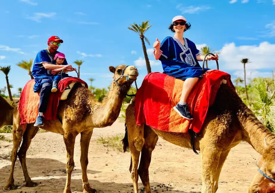 Marrakech: Camel Ride in the Oasis Palmeraie with Hotel Pickup