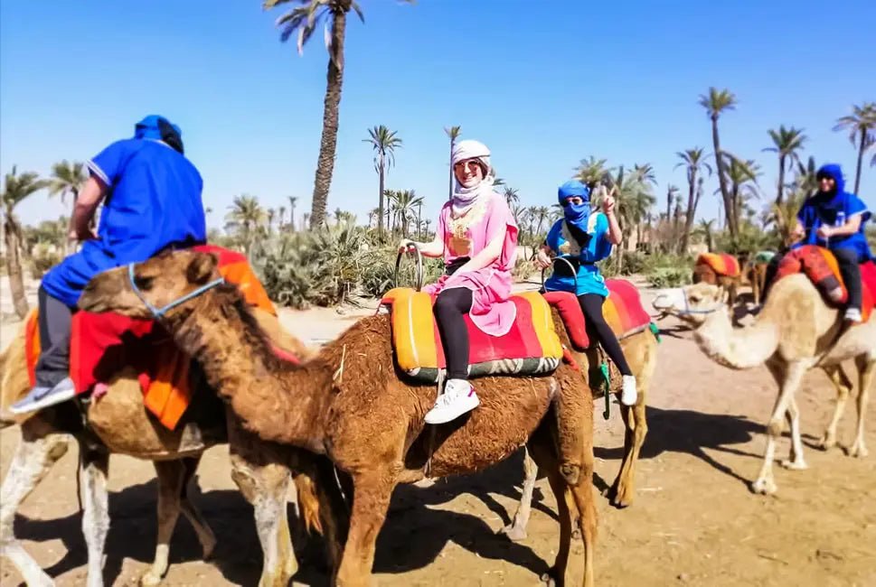 Marrakech: Camel Ride in the Oasis Palmeraie with Hotel Pickup