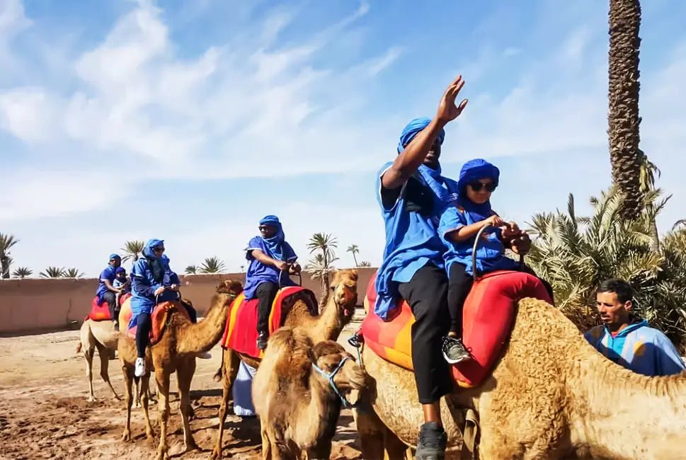 Marrakech: Camel Ride in the Oasis Palmeraie with Hotel Pickup