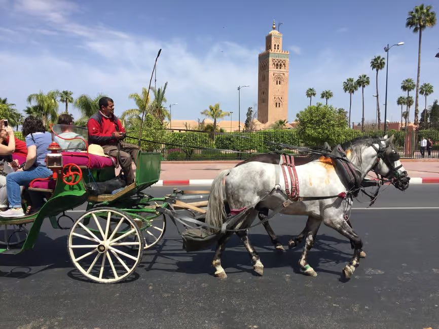 Marrakech: Guided City Tour of Koutoubia Mosque, Saadian Tombs, and Bahia Palace