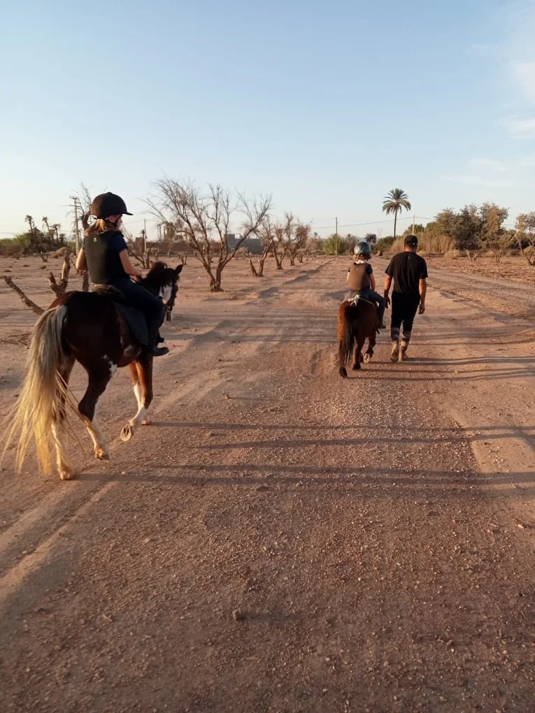 Marrakech: Horseback Riding Tour in Palmeraie Oasis with Hotel Pickup