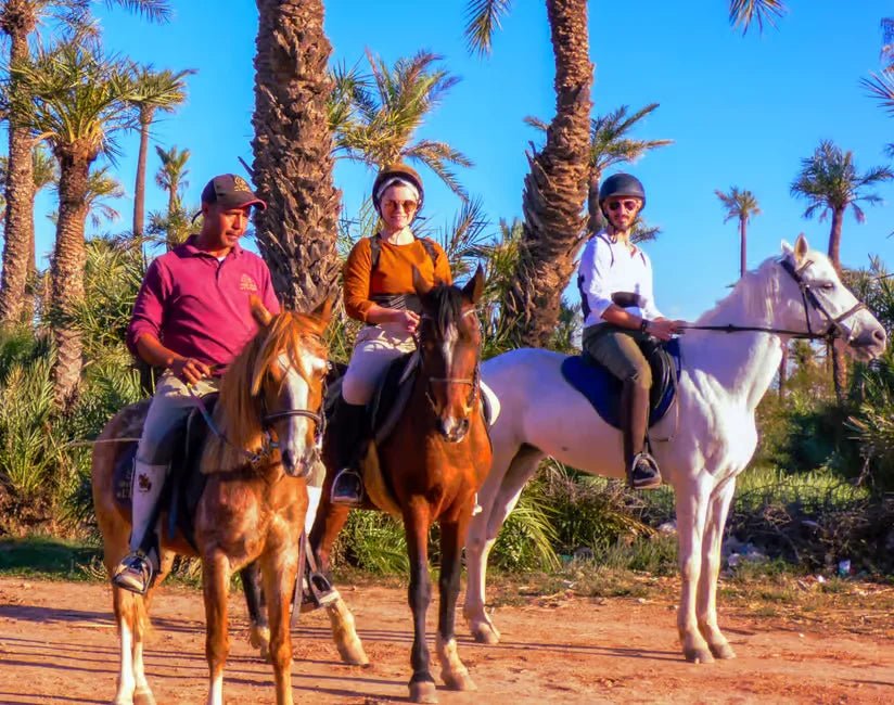 Marrakech: Horseback Riding Tour in Palmeraie Oasis with Hotel Pickup