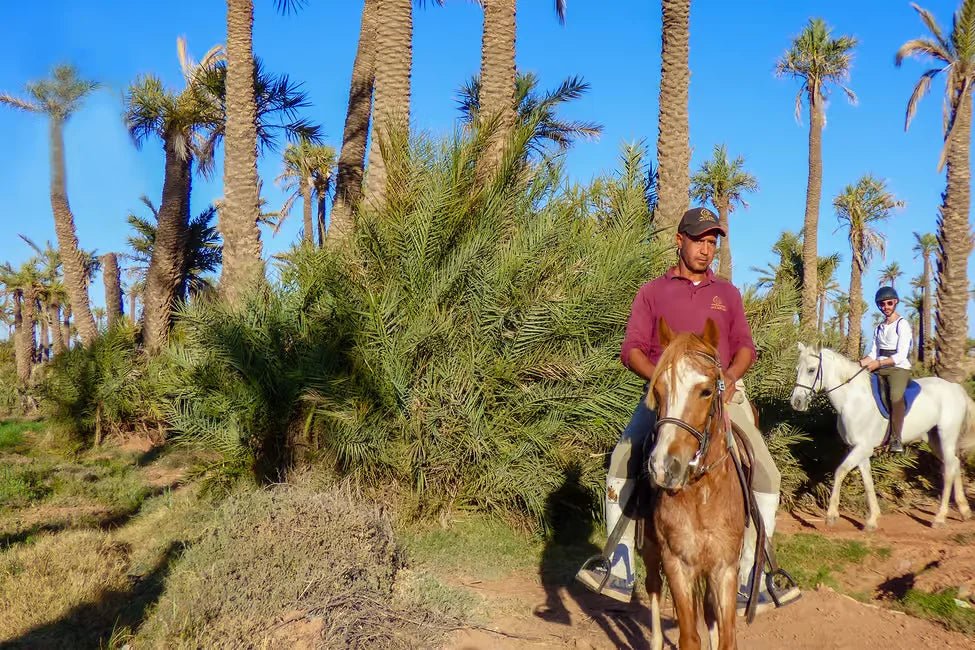 Marrakech: Horseback Riding Tour in Palmeraie Oasis with Hotel Pickup