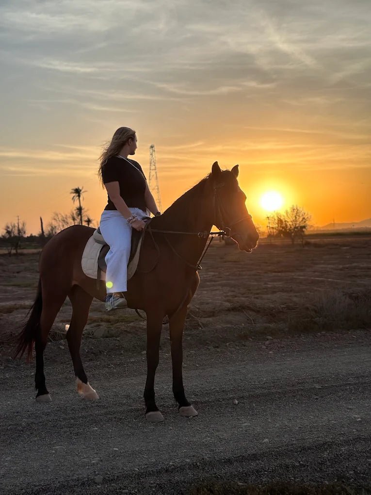 Marrakech: Horseback Riding Tour in Palmeraie Oasis with Hotel Pickup