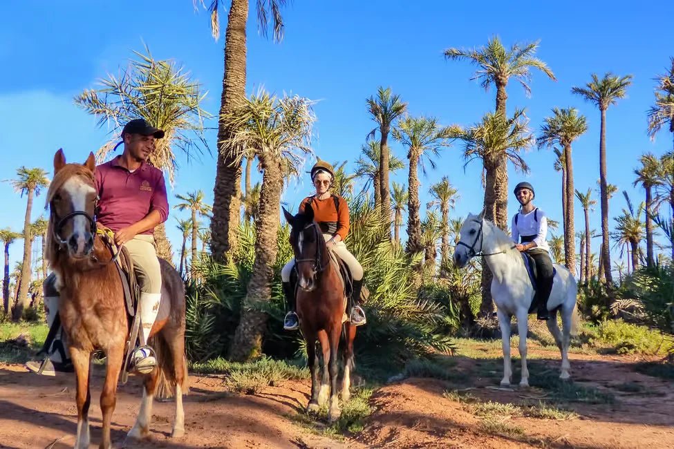 Marrakech: Horseback Riding Tour in Palmeraie Oasis with Hotel Pickup