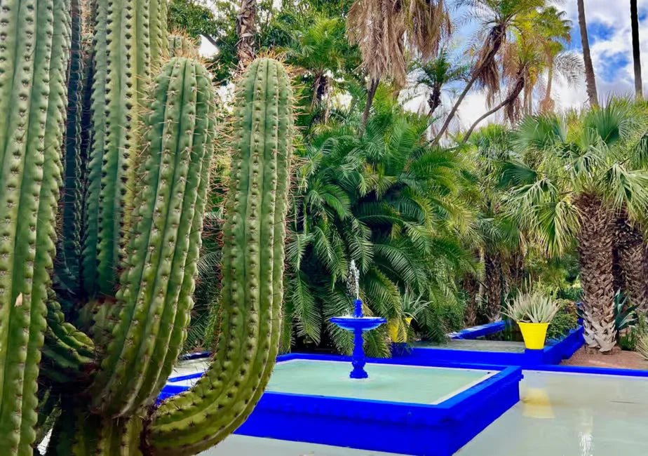Marrakech: Majorelle & Menara Gardens Tour with Horse Carriage Ride