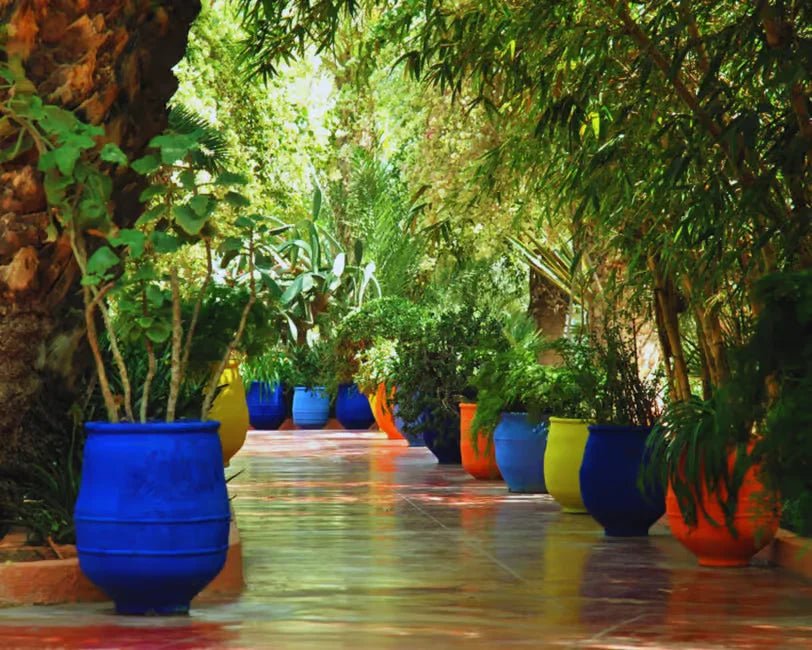 Marrakech: Majorelle & Menara Gardens Tour with Horse Carriage Ride