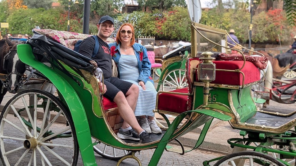 Marrakech: Majorelle & Menara Gardens Tour with Horse Carriage Ride