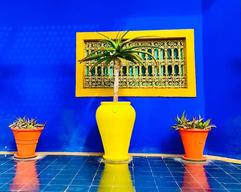 Marrakech: Majorelle & Menara Gardens Tour with Horse Carriage Ride