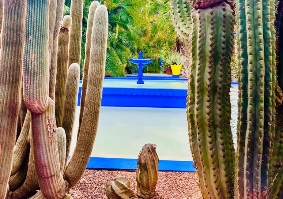 Marrakech: Majorelle & Menara Gardens Tour with Horse Carriage Ride