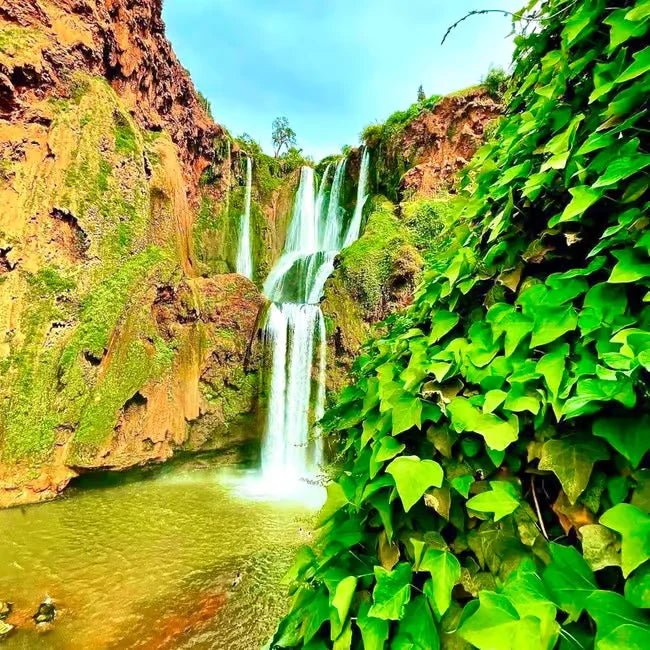 Marrakech: Ouzoud Waterfalls Day Trip with Hike, Boat Ride and Lunch