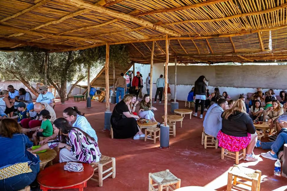 Marrakech: Rug Art Experience with Atlas Camel Ride and Artisan Visit
