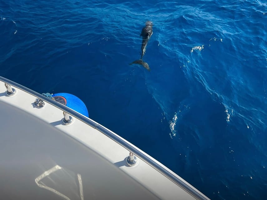 Marsa Alam: Elite VIP Cruise with Snorkeling and Lunch at Turtle Bay