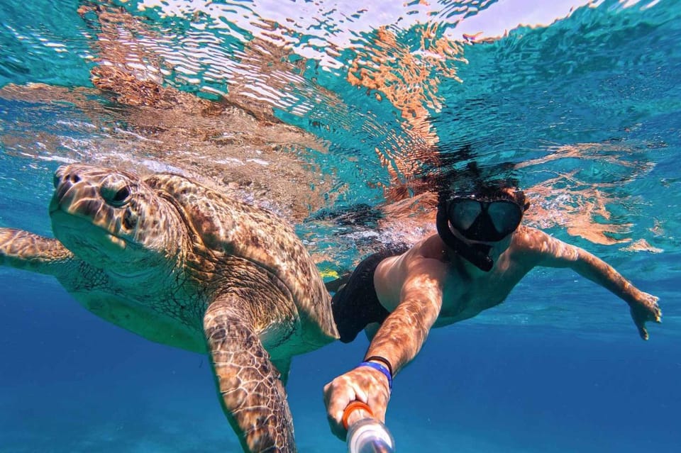 Marsa Alam: Pirates Premium Snorkeling Trip to Marsa Mubarak and Marsa Shona