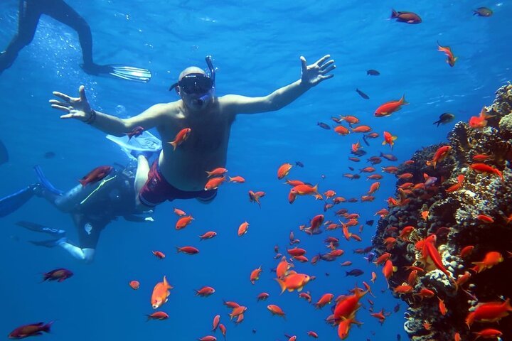 Marsa Alam: Pirates Premium Snorkeling Trip to Marsa Mubarak and Marsa Shona