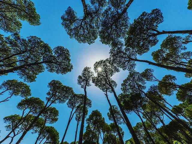 From Beirut: Sidon, Mleeta and Jezzine Waterfall Guided Tour